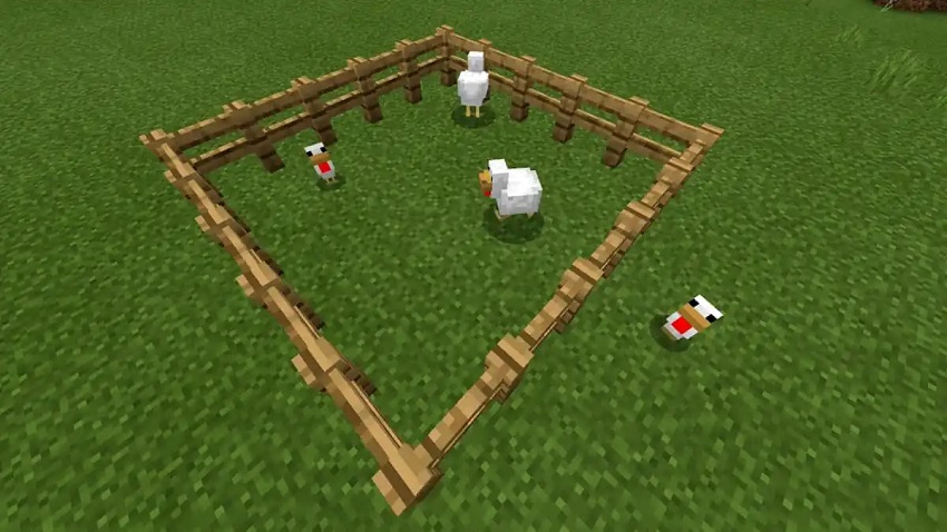 How Do You Feed Chickens Seeds in Minecraft?